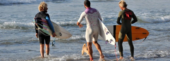Protest Surfcenter Fuerteventura | Blog de surf para principiantes